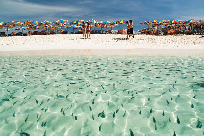 Phi Phi & Khai Island by Speed Boat - Booking Details