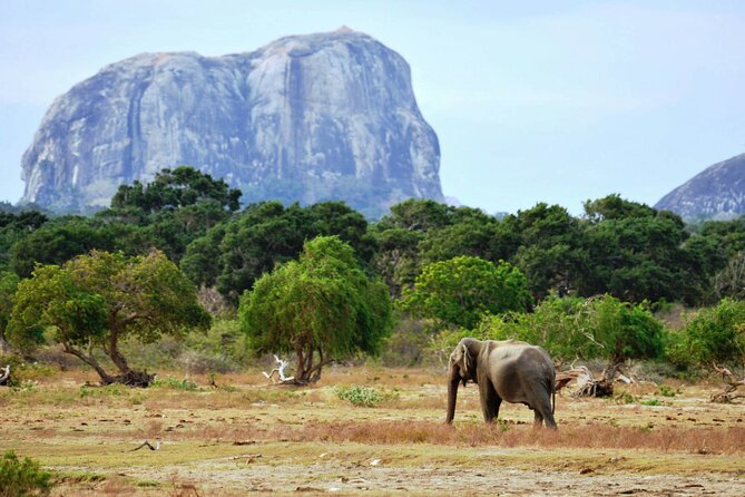 Photography Tour in Sri Lanka (7 Days) - Booking Information