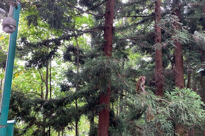Private 3-Day Zhangjiajie Tour By Round-way Flight From Beijing - Non-Refundable Policy