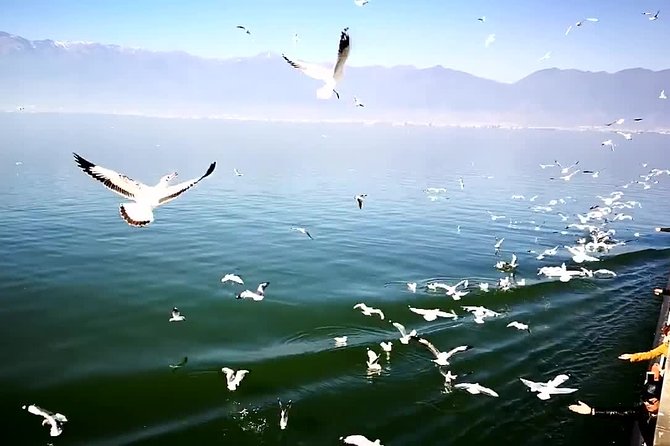 Private Day Tour of Dali Explore the Ancient City - The Sum Up