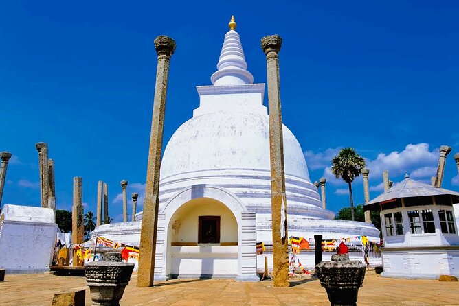 Private Day Trip to Anuradhapura Kingdom and Avukana From Kandy - Reservation Process
