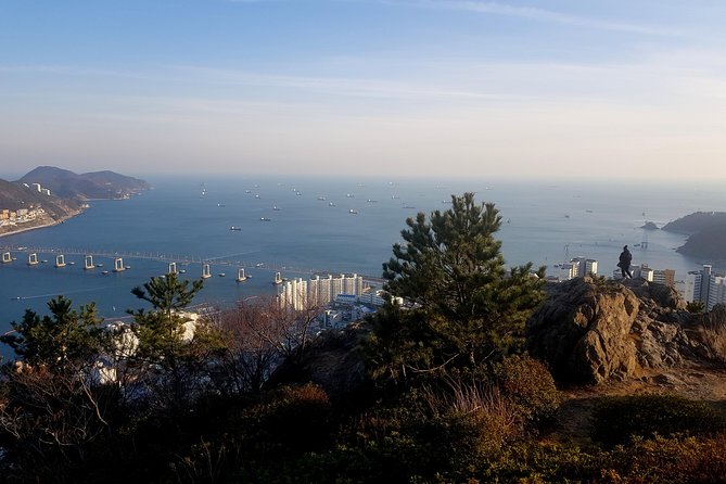 PRIVATE MORNING HIKING TO SEE THE SPECTACULAR BUSAN CITY VIEW (326m / 1,070ft) - The Sum Up