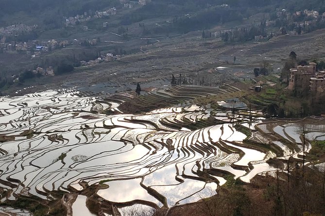 Private Overnight Tour to Yuanyang Rice Terraces From Kunming - Cancellation Policy