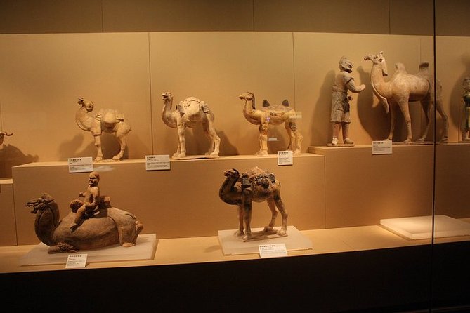 Private Tour: Xian Half Day - Shaanxi History Museum and Big Wild Goose Pagoda - Operator Details