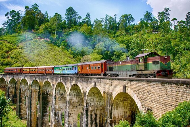 Private Transfer To Ella From Sigiriya Dambulla or Habarana - The Sum Up