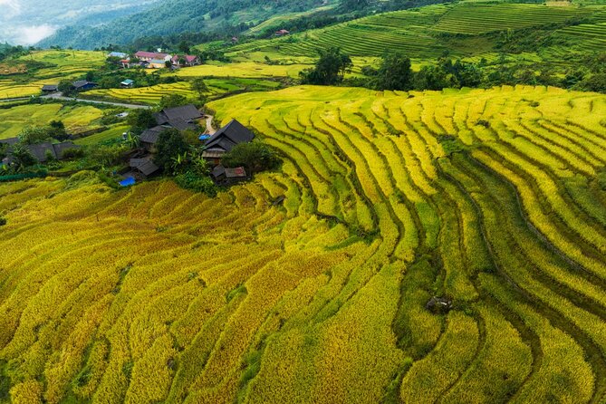 Remote Sapa Tour in Countryside of Nam Cang – Nam Nhiu Villages - Culinary Delights