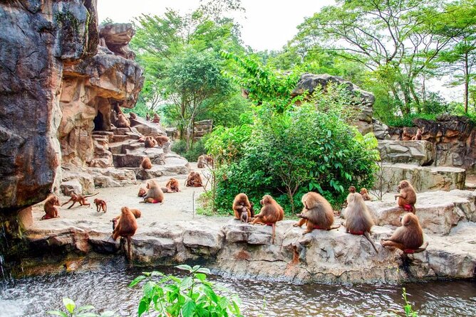 Singapore Zoo - Cancellation Policy