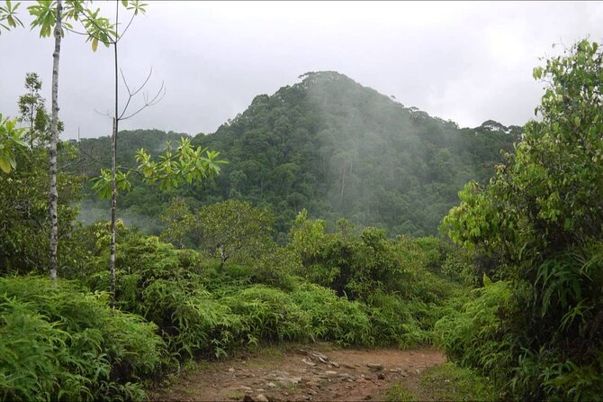 Sinharaja Rain Forest Tour From Udawalawa - Booking Availability