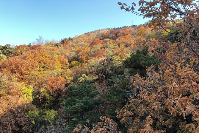 Small Group Layover Tour From Beijing Airport to Mutianyu Great Wall - Booking Options