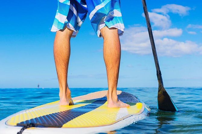 Stand up Paddle Lesson Bali With Professional Instructor - End Point and The Sum Up