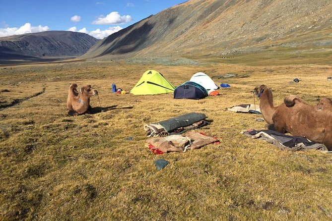 Taste of Mongolian Altai - The Sum Up