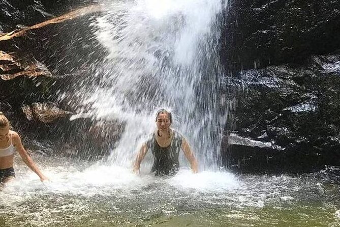 Templer Park Tour - a Rendezvous With Nature - The Sum Up