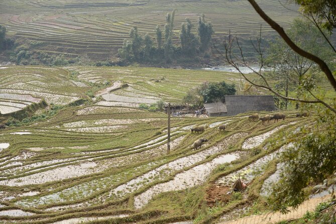The Most Stunning View - Authentic Trek in Sapa Vietnam 2 Days - Cultural Encounters