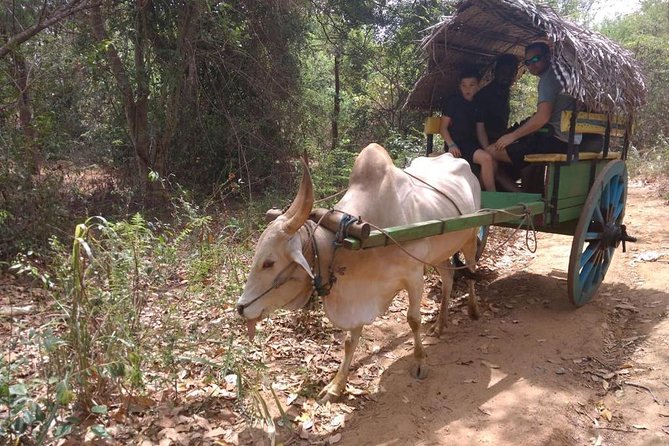Traditional Sigiriya Village Tour With Lunch - Frequently Asked Questions