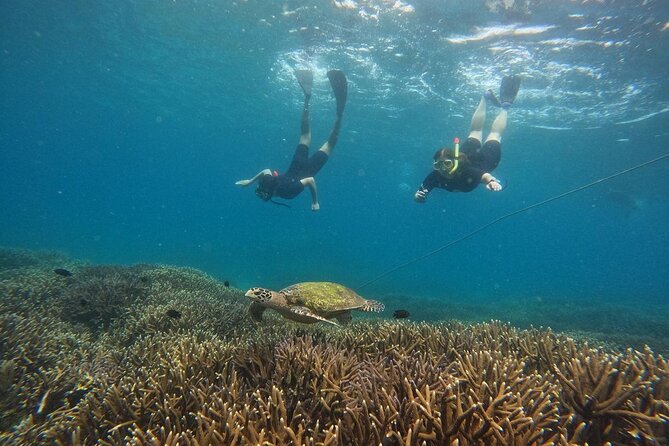 Trinco Tour a - Snorkeling & Island Hopping Tour - Operator Information