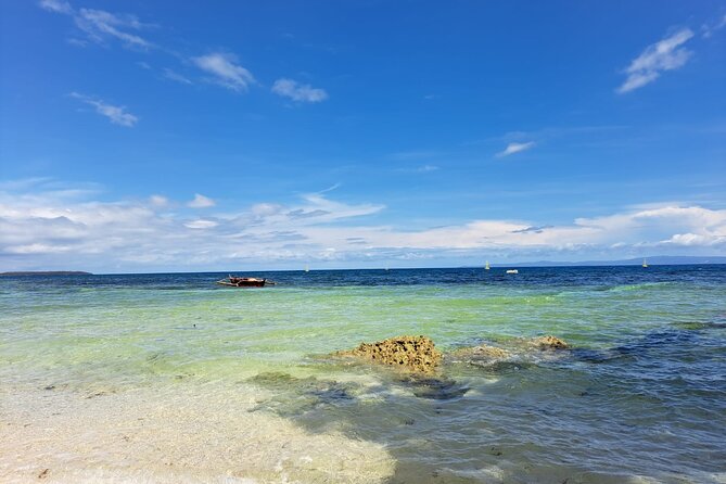 Whaleshark & Sumilon Is and Moalboal Marine Life Snorkeling Tour - The Sum Up