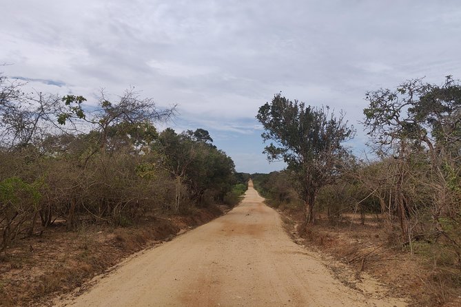 Yala National Park Safari From Ella - Return Journey