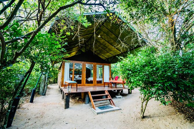 Yala Safari With Luxury Tented Camping From Ella - Additional Services and Considerations