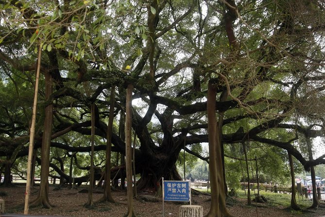 Yangshuo Day Tour: Big Banyan Tree, Moon Hill, West Street, Bamboo Raft Tour - Booking Details