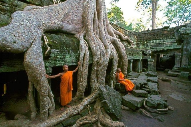 1 Day Angkor Wat With Small Circuit & Banteay Srei - The Sum Up