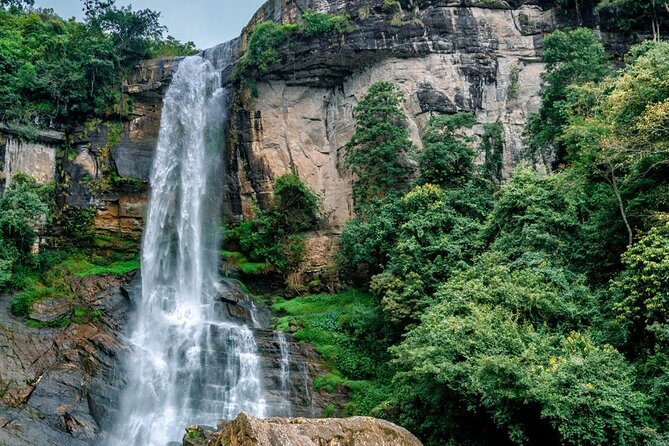 1 Day Tour of Nuwara Eliya - Private Tour From Kandy - The Sum Up