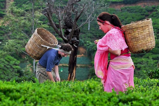 3 Days Glimpse of Sri Lanka - Booking and Cancellation Policy