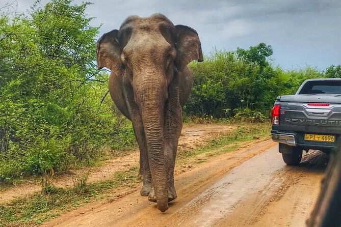7 Days Private Tour From Sri Lanka - Small Places Fees