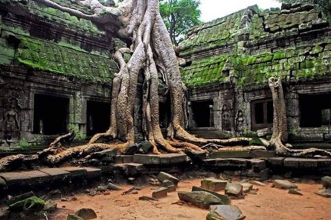 Amazing Sunrise Angkor Wat Small Tour With English Speaking Guide - Logistics and Schedule