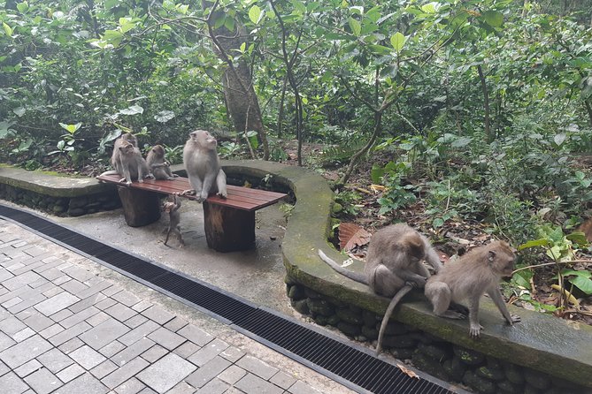 Bali All Inclusive Tour, Ubud Rice Terrace, Temple and Volcano - Accessibility Information