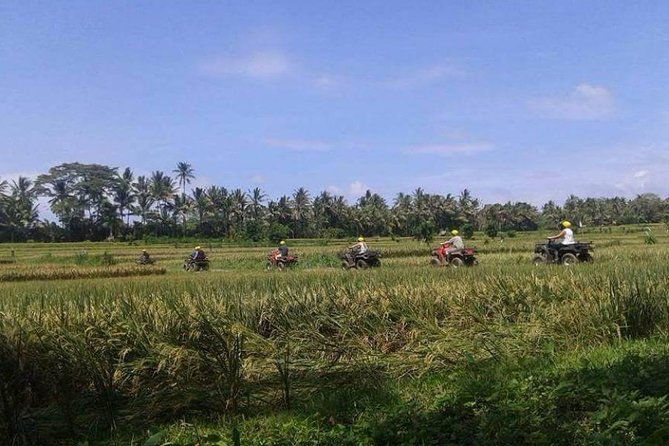 Bali ATV Ride Tour In Ubud Include Transport - Directions for Booking