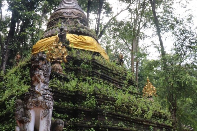 Chiang Mai Sunset Point, Wat Pha Lat, Wat Doi Suthep, Wat Umong - Group Size and Pricing