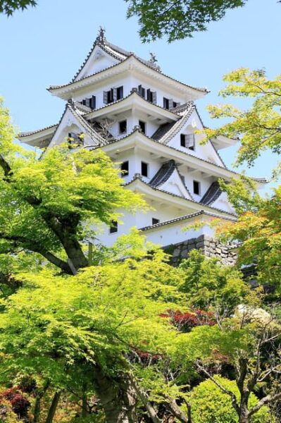 Day Trip From Nagoya（Gujo Hachiman ,Takayama & Shirakawago） - Important Information and Guidelines