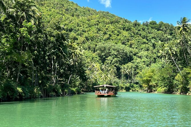 Discover Bohol Countryside Joiners Tour From Cebu City - Assistance of Professional Guide