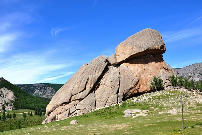 Driver to Terelj National Park and Big Chinggis Khaan Statue - Customer Requirements