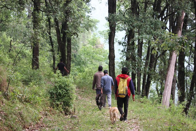 Experiential Treks & Nature-Walks Around Naintal - Frequently Asked Questions
