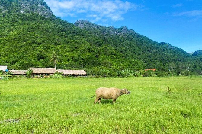 From CatBa, Lan Ha Bay Full-Day Boat Trip-Meals, Kayaking, Biking - Trip Operator Details