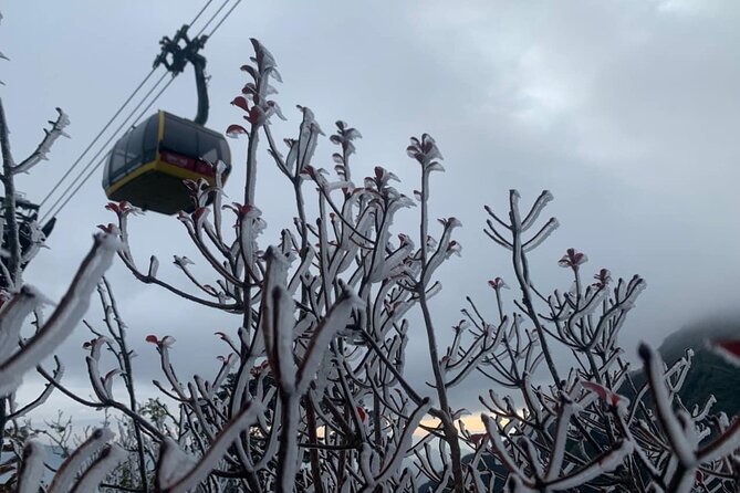 From Hanoi : Sapa Experience 2 Days 1 Night, Overnight Homestay - End Point & Departure