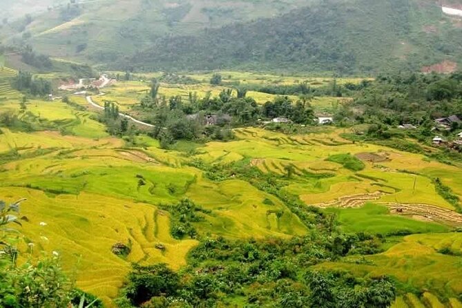 From Sapa: Adventure Tour To O Quy Ho & Trekking Sin Chai Village - The Sum Up
