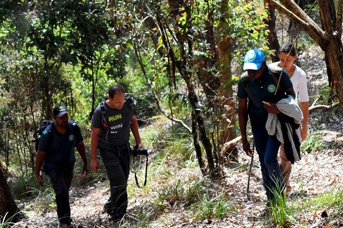 Guided Hike to Single Tree Hills From Nuwara Eliya - Frequently Asked Questions
