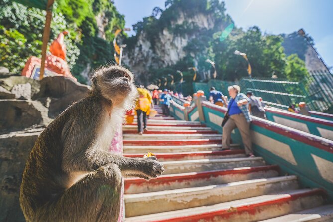 Half Day Batu Caves Group Tour in Kuala Lumpur Including Pickup - Additional Info