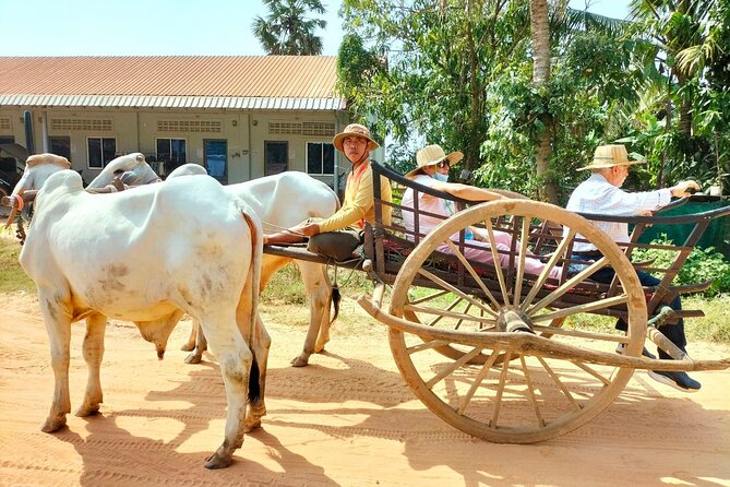 Half-day Tour to Khmer Village Plus Meal - Booking Options