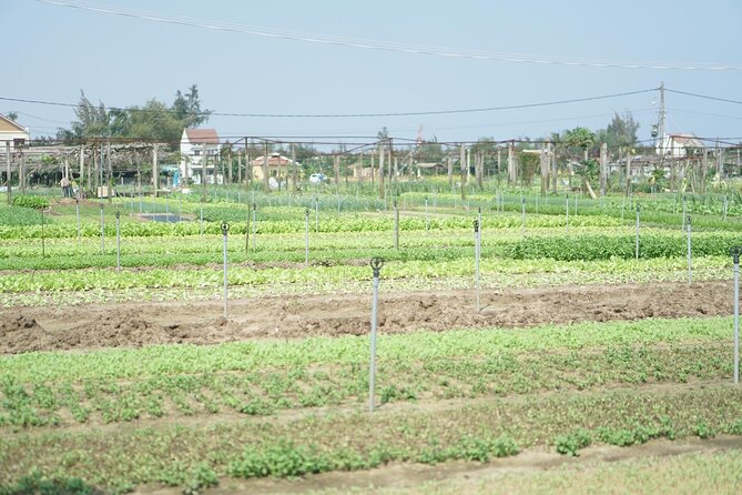 Hoi An Vegetable and Herb Village Private Tour - Reservation Process