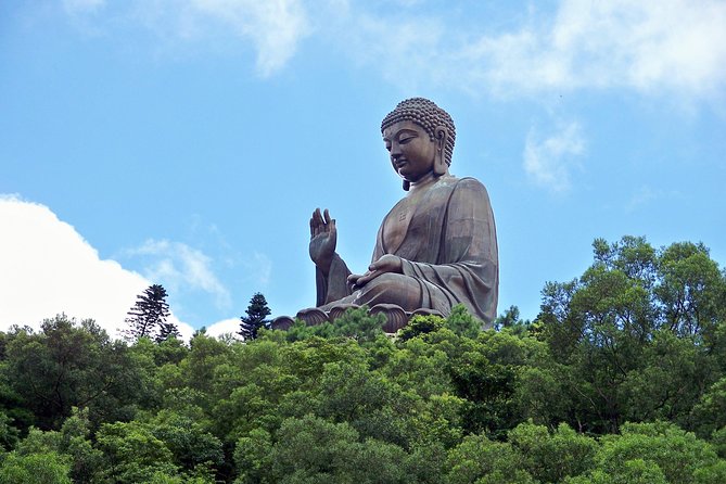 Hong Kong Layover Tour With a Local: 100% Personalized & Private - Terms and Conditions