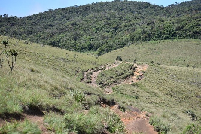 Horton Plains National Park Hike From Nuwara Eliya - Reservation & Cancellation