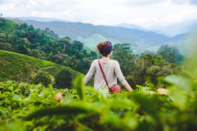Join Transfer : Taman Negara National Park (Kuala Tahan) to Cameron Highlands - Luggage and Group Size Limitations