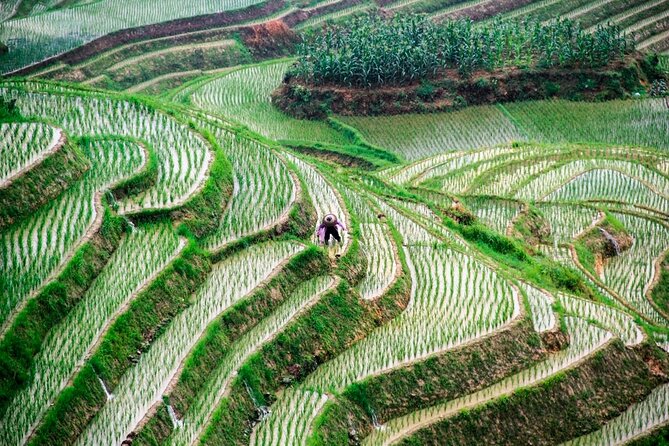 Longji Rice Terrace Private Day Tour From Yangshuo - Booking Process