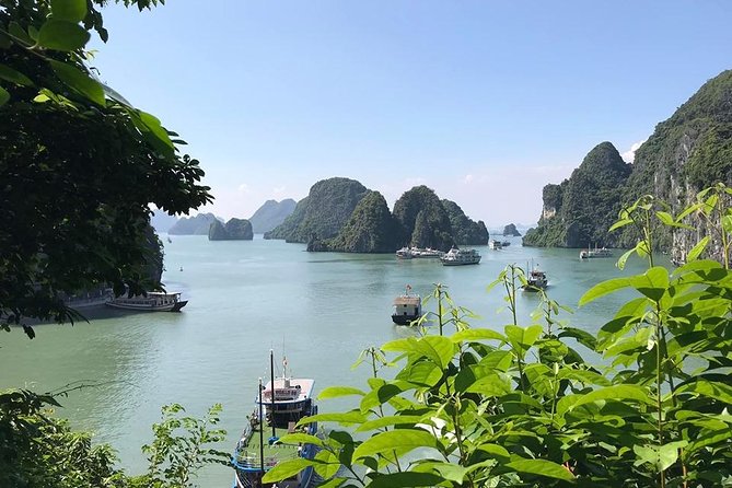 Luxury Limousine Ha Long 1Day 6 Hours Cruising - Wonderbay Cruise - Price & Guarantee