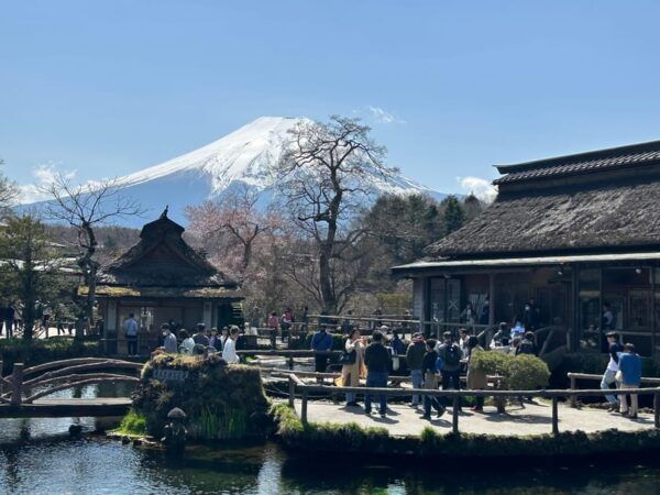 Mt.Fuji&Hakone Tour, Tokyo/Yokohama ⇒ Tokyo, 2-4 Guests - Booking Information