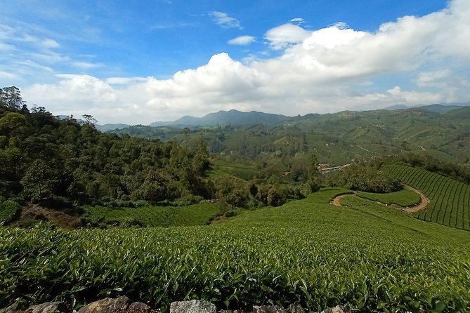 Munnar Trekking (Amazing Munnar Adventure Tours) - The Sum Up