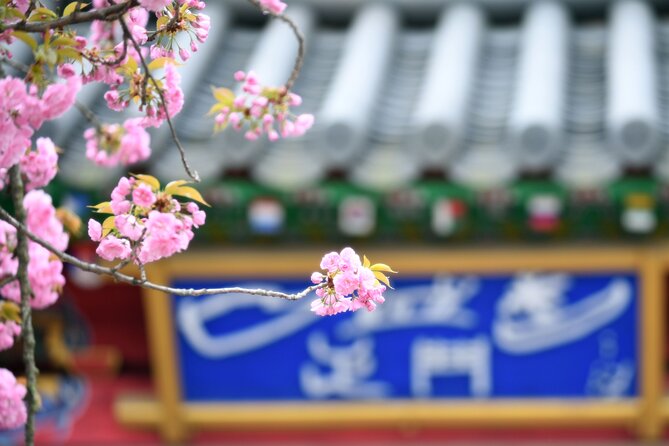 Nami Island, Alpaca World With Samaksan Lake Cable Car Day Tour - Directions